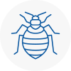 Bed Bug Extermination In Burton Upon Trent